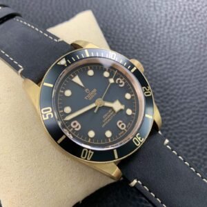 Alternative view of Tudor_11