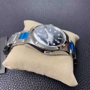Alternative view of Tudor_14