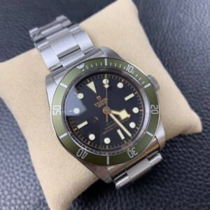 Alternative view of Tudor_20