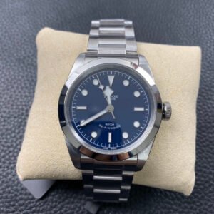 Tudor_24