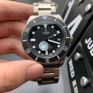 Alternative view of Tudor_35