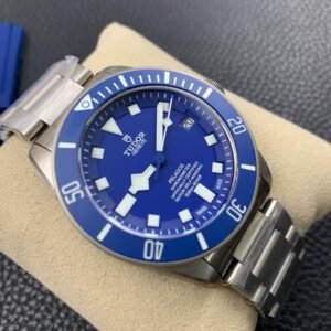 Alternative view of Tudor_4